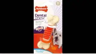 Nylabone Dental Chew Small Bacon flavored Pro Action Bone Dog Chew Toy