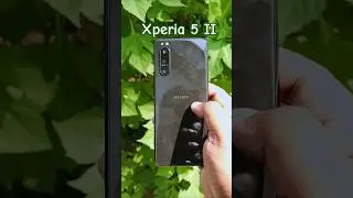 Xperia 5 ii Camera Test #shorts #sonyphone #sonyxperia