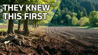 Ancient Food Systems That Outsmarted Collapse | Agroforestry Secrets Empires Relied On