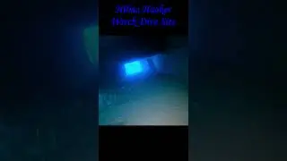 Bonaire Island Wreck Dive