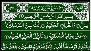 Surah Yaseen Surah Rahman Beautiful Recitation || Ep 915 || quran recitation quran tilawat || yasin 