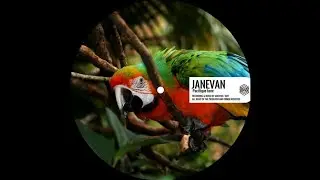 Janevan - Pacifique Tone