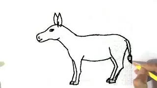 How to draw a Donkey  - in easy steps for beginners
