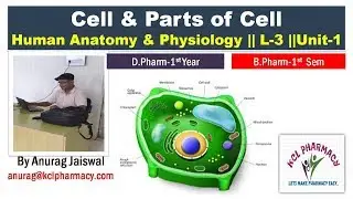 Cell - Introduction & Its Parts || HAP-Unit-1 || L-3