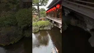 Kyoto Kitano Odori 北野をどり #北野天満宮 #kyotosightseeing #kyoto #japan #geisha #kabuki  #kyotolife #kabukai