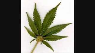 dr.evil marijuana (full version)