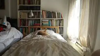 Elmo ligt op het logeerbed.