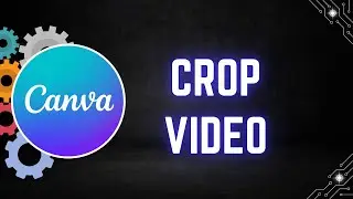 How to Crop a Video in Canva | Step By Step