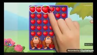 Stupid Fruit Link Line Blast Ad