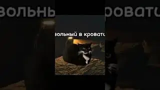 #мем#прикол#котики#кот#cat
