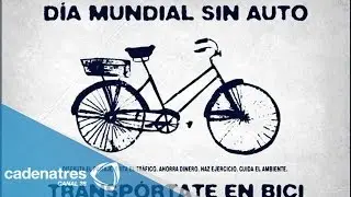 22 de septiembre, D&iacute;a mundial sin auto
