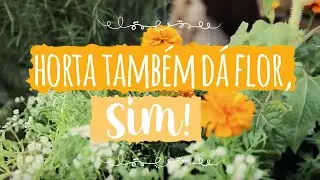 Como plantar flores e fazer lindos jardins em vaso - Minha Horta - ISLA Sementes