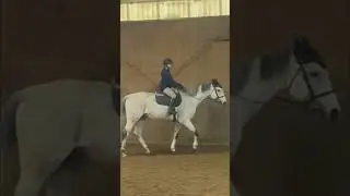 it felt so weird going from yoshi to caspian #shortsvideo #equestrian @corrinaeq @Scarlett_Eq
