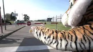 &bdquo;The Bavarian Tiger&ldquo;