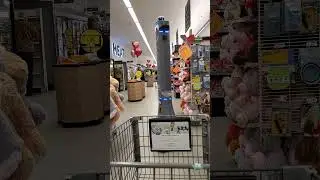 Grocery Store Robot at Stop and Shop Smothfield RI [2/12/2026]