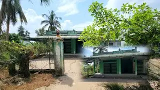 Hai ng&ocirc;i nh&agrave; gi&agrave;u trong vườn bỏ hoang ai thấy cũng bất ngờ