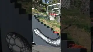 Trampoline Dunk Trick Shots!
