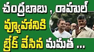 AP CM Chandrababu Naidu Strategies Anti NDA, Anti Federal Front Strategies