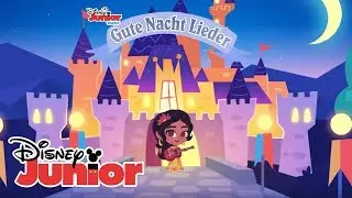 Gute Nacht Lieder: Liebe strahlt leuchtend hell ❤️ | Disney Junior Musik