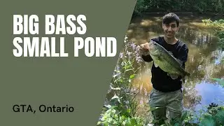 Fishing Small Pond for BIG Largemouth Bass (Southern Ontario)