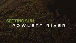 Powlett River - Drone Video, Bass Coast, Victoria, Australia