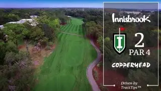 Innisbrook Resort's Copperhead Course, Hole 2