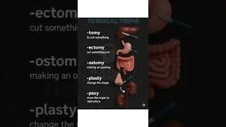 Surgical terms 🩺🩺!!  #shorts #shortvideo #youtubeshorts #ytshorts #youtube #medical #education