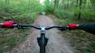 Casual Ride in the Mecsek Mountains | Hungary MTB 🇭🇺