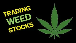 Canopy Growth Momentum Trading For Beginners