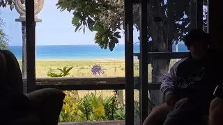 Traveling around North Island Wairarapa Flat point beach 