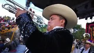 La Única de Guerrero SC - El Son Del Zanate
