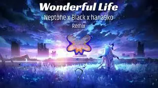 Neptone x Black x hana9ko - Wonderful Life (Remix)