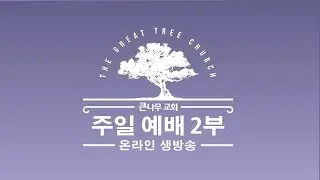 2026년 1월 18일 큰나무교회 2부 주일 예배 - 온라인 방송