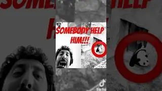 Panda #panda #desiigner #random #repost #singer #autotune