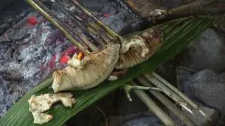Survivor  South Pacific   Ozzy's Big Fish  Extended Scene