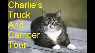 Charlie's Truck Camper Tour for Cats