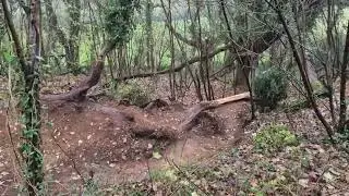 DIRTBOARD PARK 1