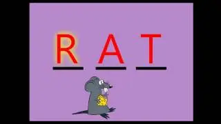 Spelling Words that sounds like CAT / BAT / RAT - ACTIVITY