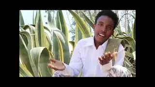 #newmusic #afar_music #amazingrespect @NOVA-RECORDS-xf1st #subscribe