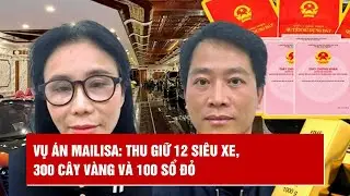 Vụ &aacute;n Mailisa: Thu giữ 12 si&ecirc;u xe, 300 c&acirc;y v&agrave;ng v&agrave; 100 sổ đỏ