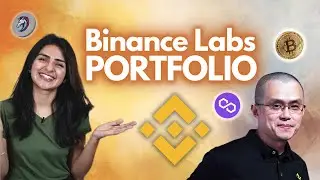 Top Cryptos in Binance Labs portfolio 2023 | Huge profit crypto tokens 💰