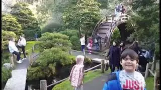 Japanese Garden in San Francisco 