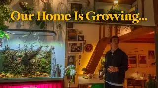 Cozy Home Update 🌿 | Plant Projects, Aquarium Care & Loft Vibes