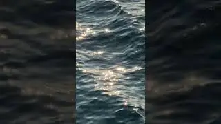 432Hz Ocean Horizon Calm 🌊 | One Minute Sleep & Relaxation Music #shorts #relaxingmusic