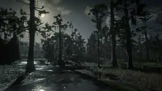 Rdr2 ambient music 34 Bluewater Marsh Night
