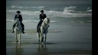 Andalucía te quiere / Andalucía loves you