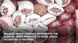 #Ethiopia: Onion Price Rises as Supply from Farmers, Sudan Falls