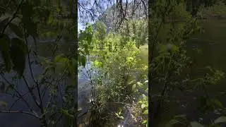 Yosemite #yosemite #river #nature #reflection #sunlight #quick