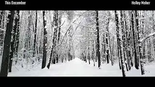 Holley Maher &ndash; This December (Official Visualizer)