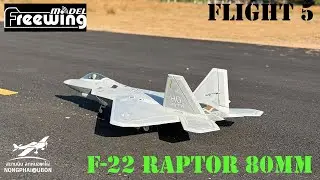 F22 80mm Freewing Flight 5